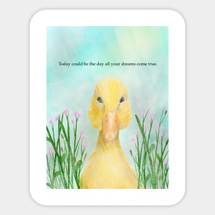 Today could be the day all your dreams come true, duck, motivational Sticker